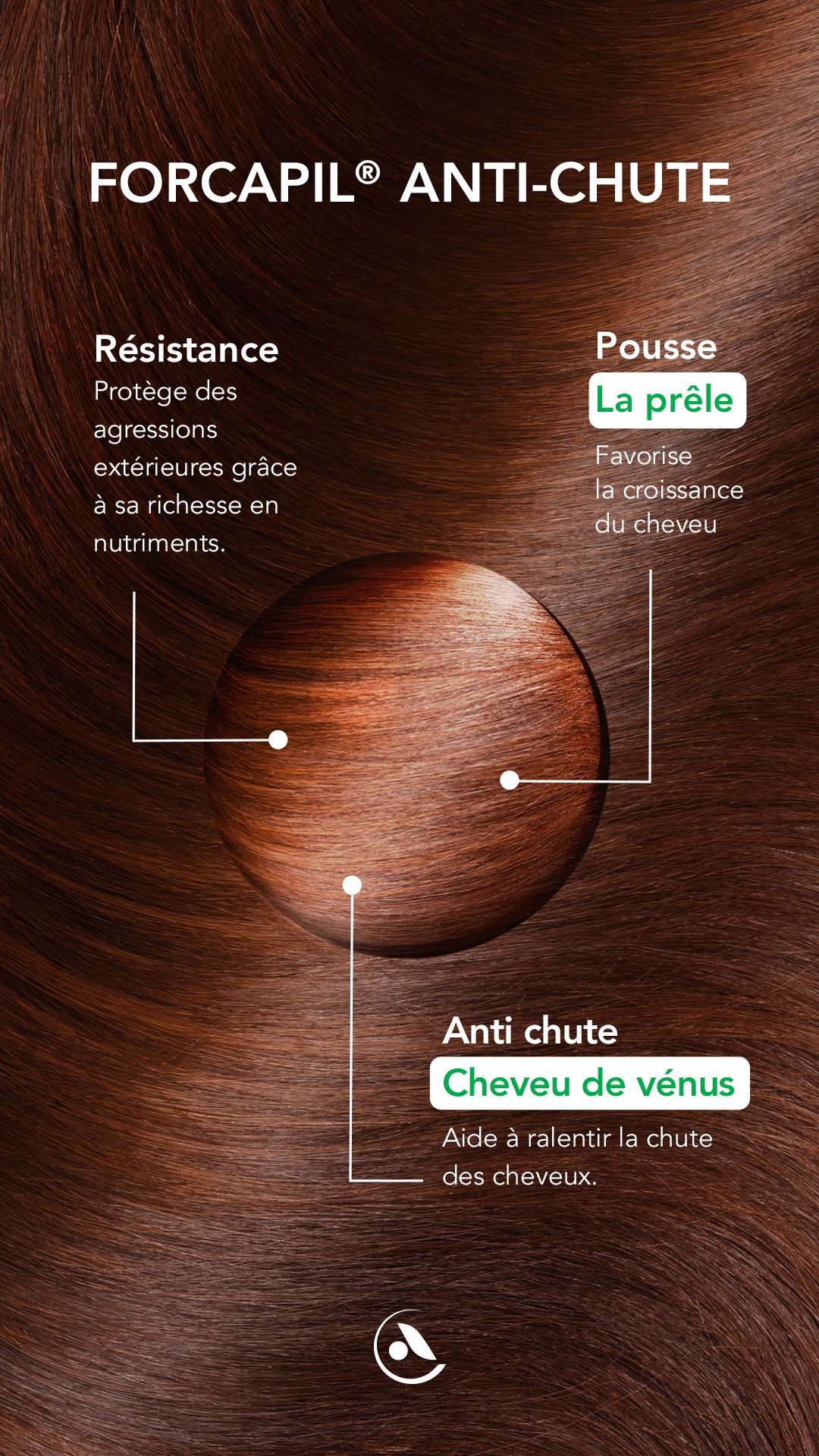 Protocole Anti-chute