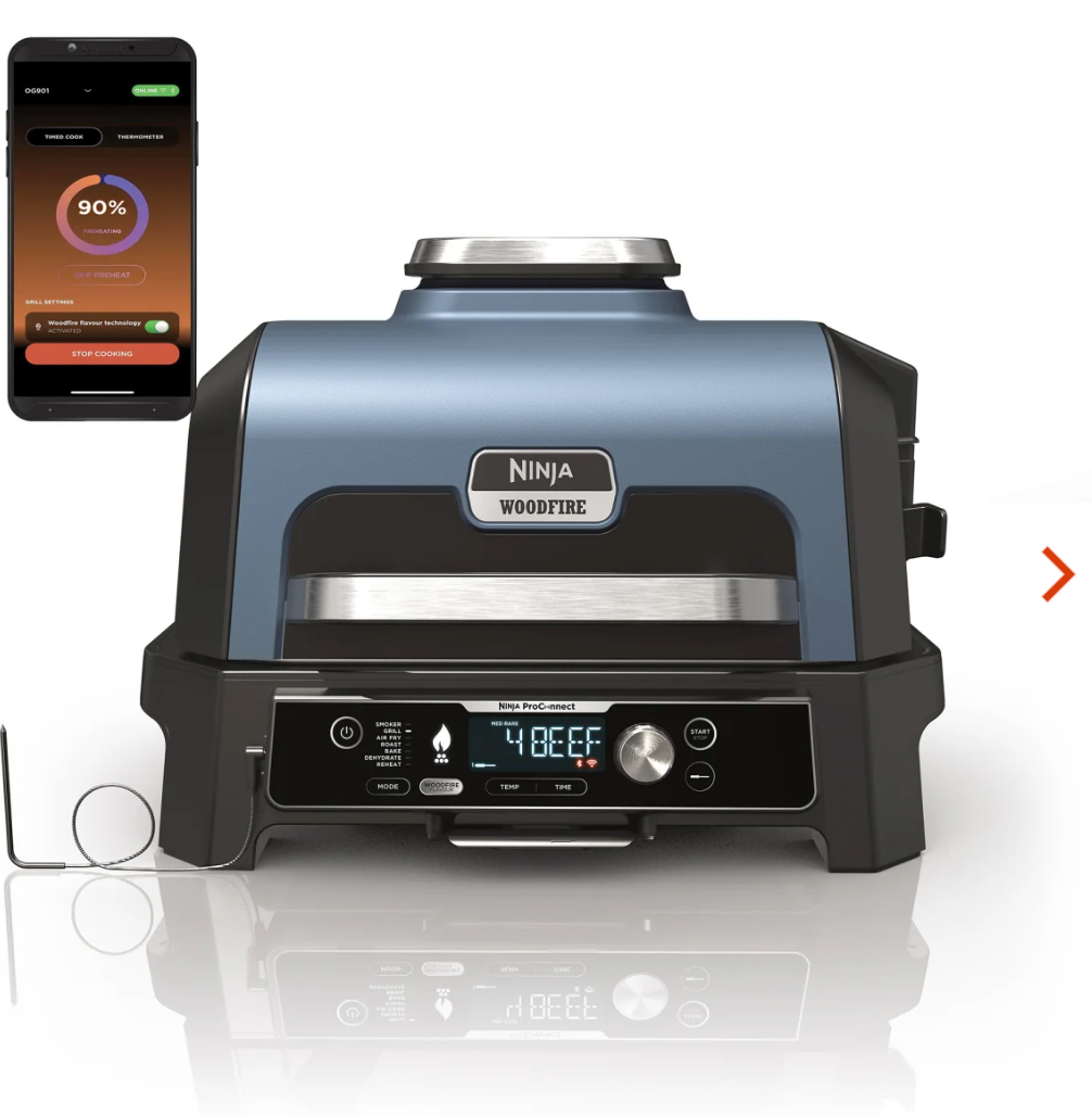 Barbecue électrique et fumoir